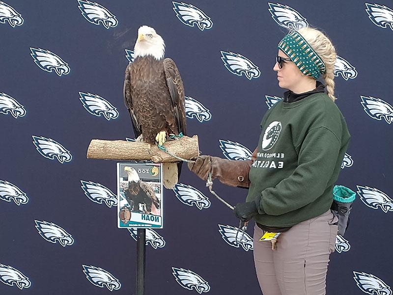 女子站在秃鹰旁边，前面是老鹰足球标志